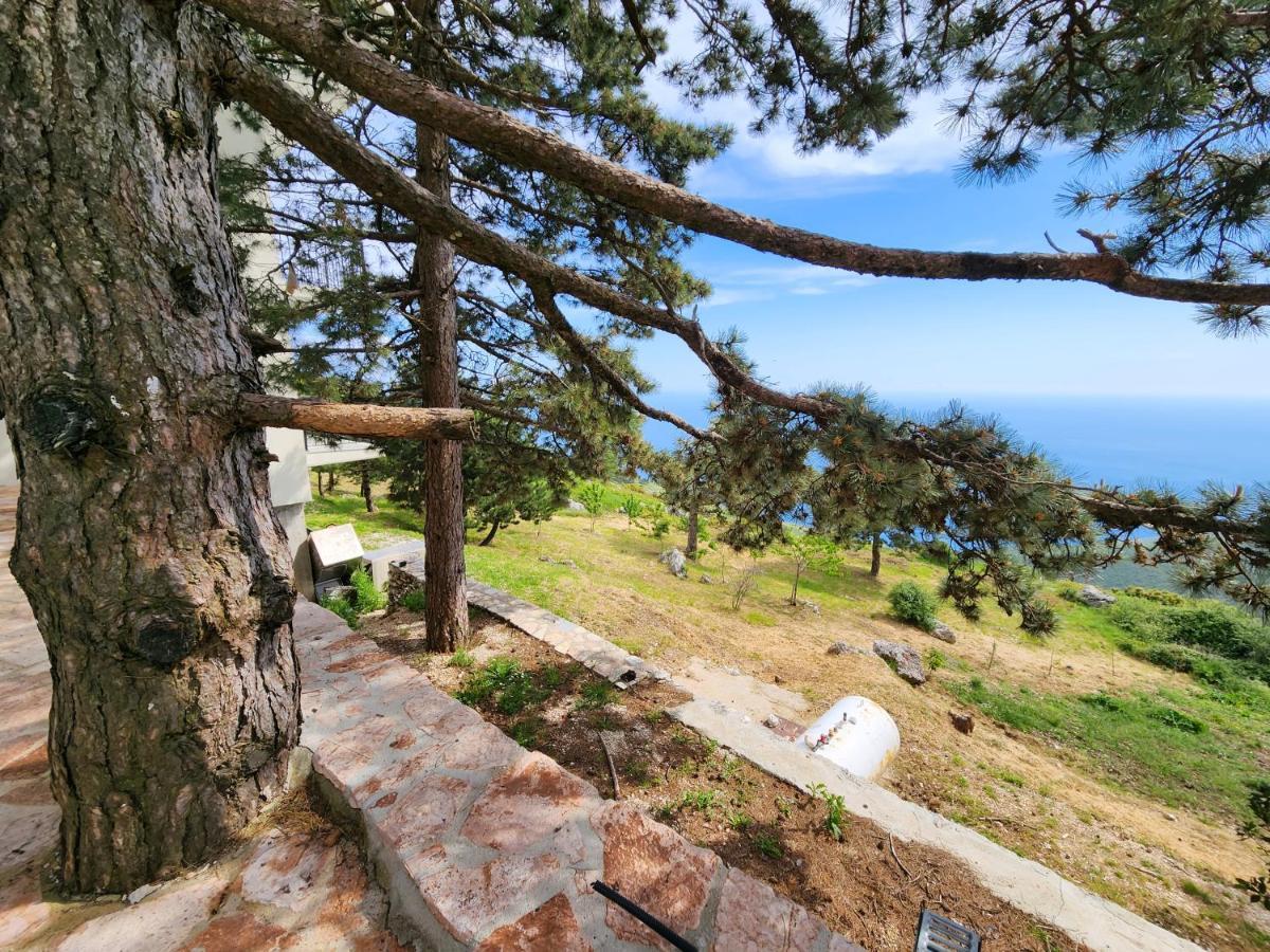 Llogora Dervishaliu Hotel Vlorë Esterno foto